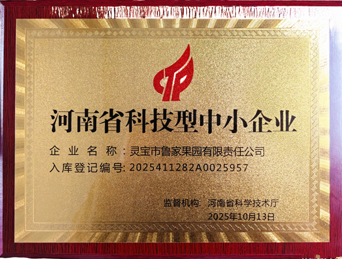 河南省科技型中小企业